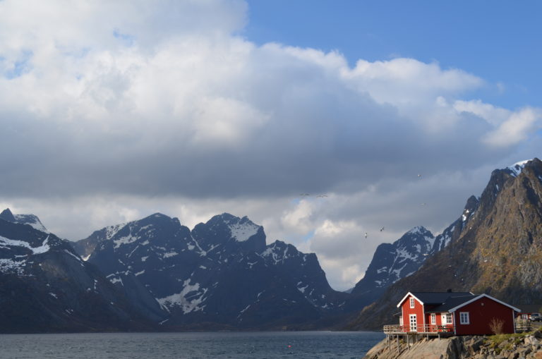 Lofoten Guide – raue Natur, leckere Zimtschnecken und kleine Fischerdörfchen